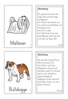 Vorschau - Spiele - Der Haushund - Lesespiel - Seite 2