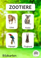 Vorschau - Bildkarten - Zootiere: 32 Bildkarten mit Fotos - Deckblatt