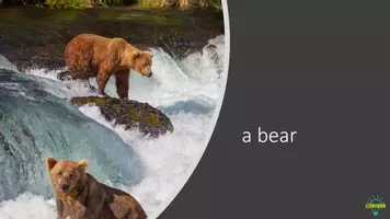 Vorschau - Präsentationen/Tafelbilder - Zoo Animals Powerpoint - Seite 3