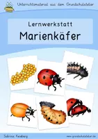 Vorschau - Arbeitsblätter - Marienkäfer (Sachunterricht, Klasse 1-4, Lernwerkstatt) - Deckblatt