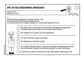 Vorschau - Arbeitsblätter - Versuche mit dem Regenwurm + Interaktives Quiz - Seite 1