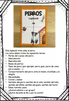 Vista previa - Hojas de trabajo - Perros Lapbook + Datos interesantes - página 1