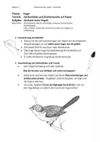 Vorschau - Arbeitsblätter - VOGEL mit Zeichentusche Unterstufe - Seite 3