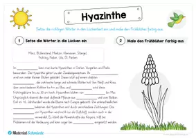 Vorschau - Arbeitsblätter - Materialpaket: Hyazinthe - Seite 3