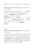 Vorschau - Arbeitsblätter - Partnerarbeit: Navidad en España y latinoamerica - Seite 3