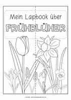 Vorschau - Unterrichtsreihen - Lapbook | Frühblüher | Sachunterricht ab Klasse 1 - Seite 3
