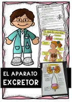 Vista previa - Unidades / Secuencias / Situaciones de Aprendizaje - Cuerpo humano: el aparato excretor - Portada