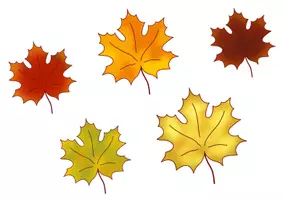 Vista previa - Hojas de trabajo - Logical "Blätter im Herbst" alemán - página 3