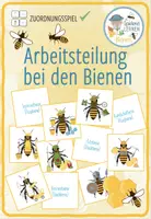 Vorschau - Spiele - Arbeitsteilung bei den Bienen – Paare Finden Spiel / Zuordnungsaktivität - Deckblatt