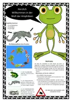 Vorschau - Arbeitsblätter - Amphibien - Deckblatt