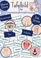 Vorschau - Spiele - Tafelbild: Die Sinneswahrnehmung/ Meine Sinne/ Die Sinne - Deckblatt