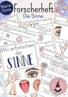 Vorschau - Arbeitsblätter - Forscherheft/ Arbeitsblätter: Die Sinne/ Sinneswahrnehmung - Deckblatt