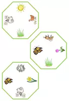 Vorschau - Spiele - Sprachförderung im Frühling: Was ist gleich? (DaZ/DaF) - Seite 2