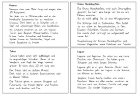 Vorschau - Bildkarten - Lesehefte: Tiere in Südamerika - Seite 3