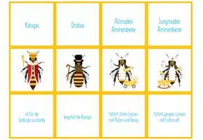 Vorschau - Spiele - Arbeitsteilung bei den Bienen – Paare Finden Spiel / Zuordnungsaktivität - Seite 2