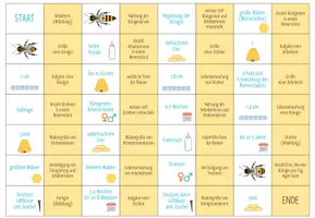 Vorschau - Spiele - Bienenwesen – Domino Spiel - Seite 2