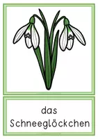 Vorschau - Arbeitsblätter - Lebenszyklus Schneeglöckchen - Paket ink.l INTERACTIVE - Seite 1
