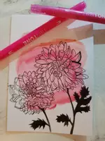 Vorschau - selbst erstellte Cliparts/Grafiken - Frühblüher - Deckblatt