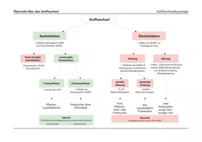 Vorschau - Präsentationen/Tafelbilder - Übersicht Stoffwechsel - Seite 1
