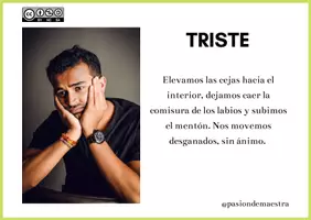 Vista previa - Tarjetas / Manipulativos - EMOCIONES - página 2