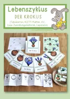 Vorschau - Arbeitsblätter - Lebenszyklus Krokus - Paket ink.l INTERACTIVE - Seite 1