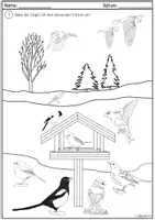 Vorschau - Arbeitsblätter - Vögel im Winter - ausmalen und benennen - Seite 1