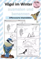 Vorschau - Arbeitsblätter - Vögel im Winter - ausmalen und benennen - Deckblatt