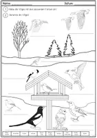 Vorschau - Arbeitsblätter - Vögel im Winter - ausmalen und benennen - Seite 2