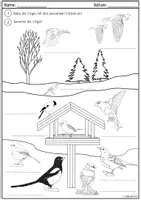 Vorschau - Arbeitsblätter - Vögel im Winter - ausmalen und benennen - Seite 3