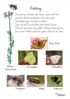 Vorschau - Arbeitsblätter - Frühling - Schmetterling - Biene - Hummel - Deckblatt