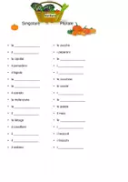 Vista previa - Hojas de trabajo - Singolare Plurale frutti "Singular - Plural verdura" italiano - página 1