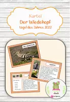 Vorschau - Arbeitsblätter - Materialpaket "Wiedehopf" Vogel des Jahres 2022 - Seite 1