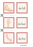 Vorschau - Spiele - Der Körper - Spiel Paare finden DAF/DAZ - Seite 1