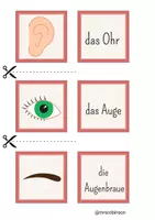 Vorschau - Spiele - Der Körper - Spiel Paare finden DAF/DAZ - Seite 3