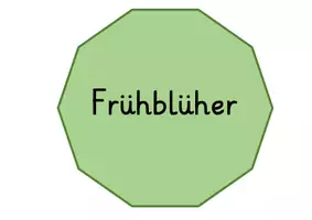 Vorschau - Fördermaterial/Inklusion - Legekreis Frühblüher - 1.,2.,3., Klasse - Seite 2
