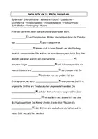 Vorschau - Stundenentwürfe - Das Blatt als Ort der Photosynthese Aufgaben Grafik Lösung - Seite 1