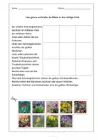 Vorschau - Arbeitsblätter - Frühblüher Hörpuzzle Lesepuzzle - Hörverstehen, Lesen, Wortschatz, Präpositionen, mit Mp3, Distanzunterricht - Seite 2