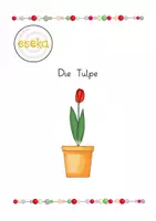 Vorschau - Arbeitsblätter - Die Tulpe - Deckblatt