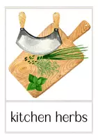 Vorschau - Präsentationen/Tafelbilder - HERBS / food Englisch Bildkarten (Kräuter) - Seite 1