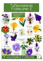 Vorschau - Präsentationen/Tafelbilder - Frühblüher 2- Tafelmaterial / Tafelbilder/ Bildkarten - Deckblatt