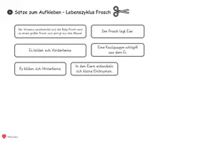 Vorschau - Arbeitsblätter - Materialpaket: Sachunterricht - Lebenszyklus Frosch (Anybook-Reader, Sprechklammern, Sprachrekorder) - Seite 3