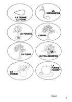 Aperçu - Feuilles d'exercices - Lapbook sur le cycle de la pomme - Page 3