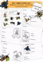 Vorschau - Arbeitsblätter - Wildbienen und Hummeln - Steckbriefe - Deckblatt