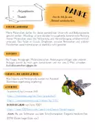Vorschau - Arbeitsblätter - Wildbienen und Hummeln - Steckbriefe - Seite 1