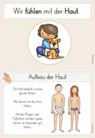 Vorschau - Anderer Materialtyp - Die Haut - Der Tastsinn - Wissenskartei - Seite 3