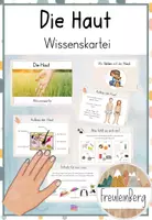 Vorschau - Anderer Materialtyp - Die Haut - Der Tastsinn - Wissenskartei - Deckblatt