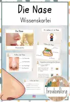 Vorschau - Arbeitsblätter - Die Nase - Der Geruchssinn - Gesamtpaket - Seite 1