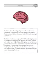 Vorschau - Arbeitsblätter - Innere Organe: Arbeitsheft (Kl. 3/4) - Seite 3