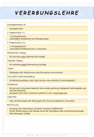 Vorschau - Merkblätter - Biologie: Vererbungslehre - Fachbegriffe - Seite 2