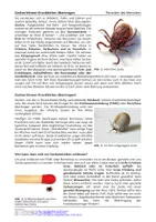 Vorschau - Arbeitsblätter - Parasiten des Menschen - Zecken (Infotext & Quiz) - Seite 1
